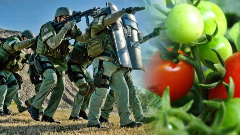 Police Hit Organic Farm with Massive SWAT Raid for No Reason, Taxpayers to be Held Liable