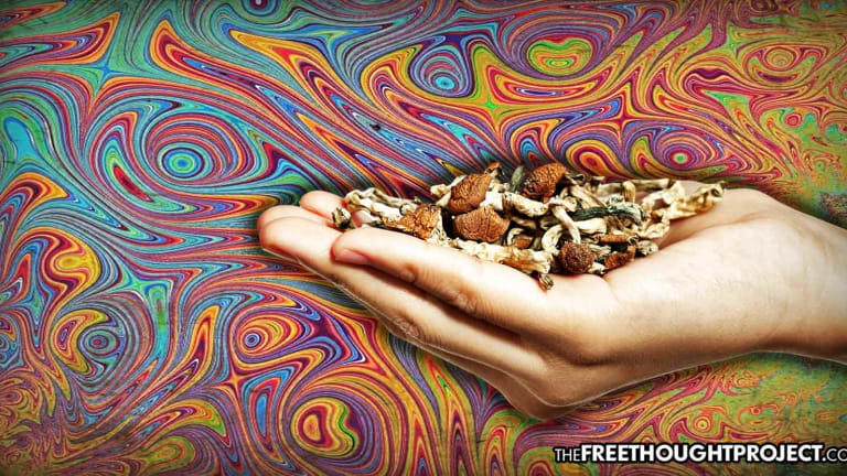 The FDA Just Approved PayPal Founder's Project to Use Magic Mushrooms to Treat Depression