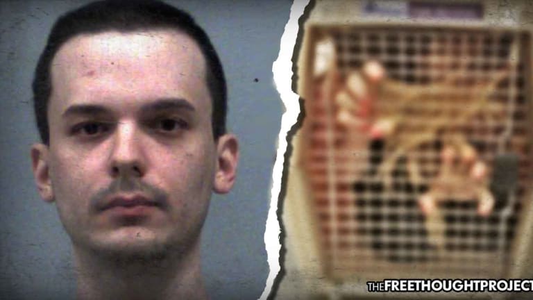 Man Gets NO JAIL for Kidnapping Child, Holding Her in a Dog Cage, Raping and Torturing Her