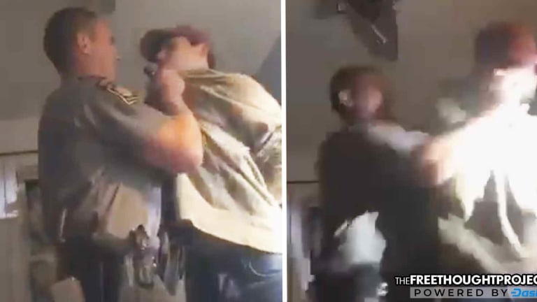 WATCH: State Trooper Grabs Handcuffed 14yo Boy By the Neck, Punches Him in the Face