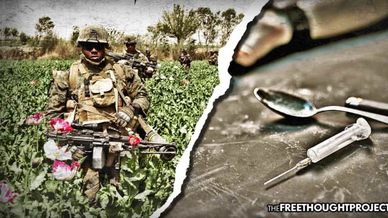Government's Own Report Shows Tax Dollars Spent in Afghanistan Have Boosted Opium Production