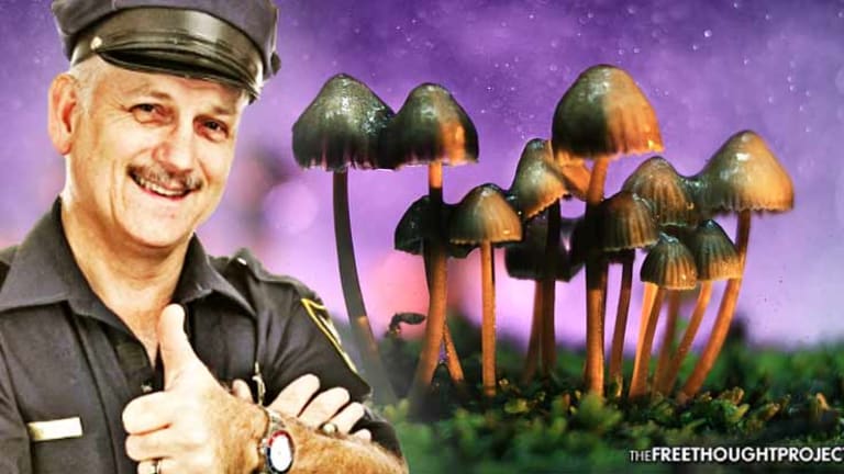 Landmark Study Shows Psychedelics Far More Effective at Reducing Crime Than Police