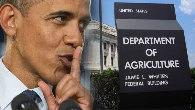Dept of Agriculture Sued for Illegally Withholding Public Documents on GMO Crops for Over a Decade