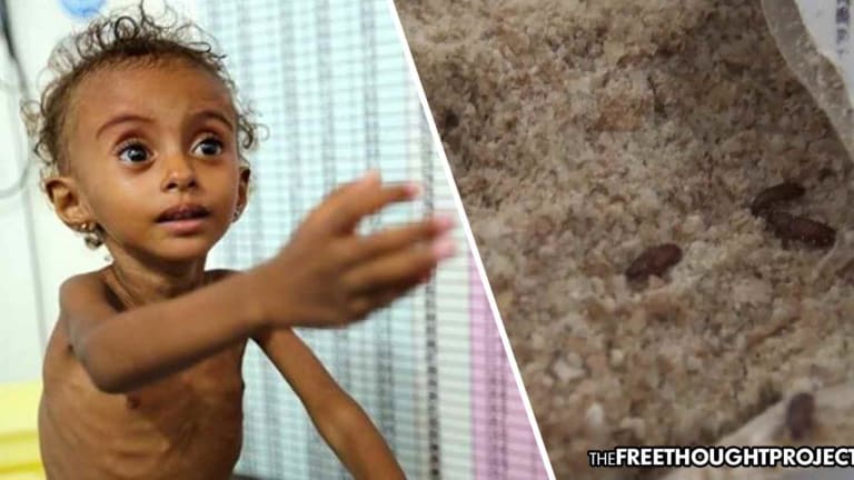 UN Caught Sending 24,000 Tons of Infested and Rotten “Aid” to Starving Yemenis