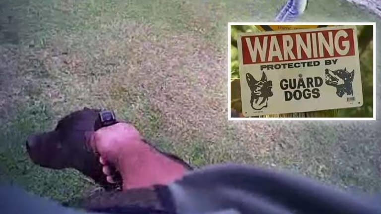 Body Cam: Cop Ignores Dog Sign, Hops Fence in Response to a Burglar Alarm, Kills Homeowners Dog