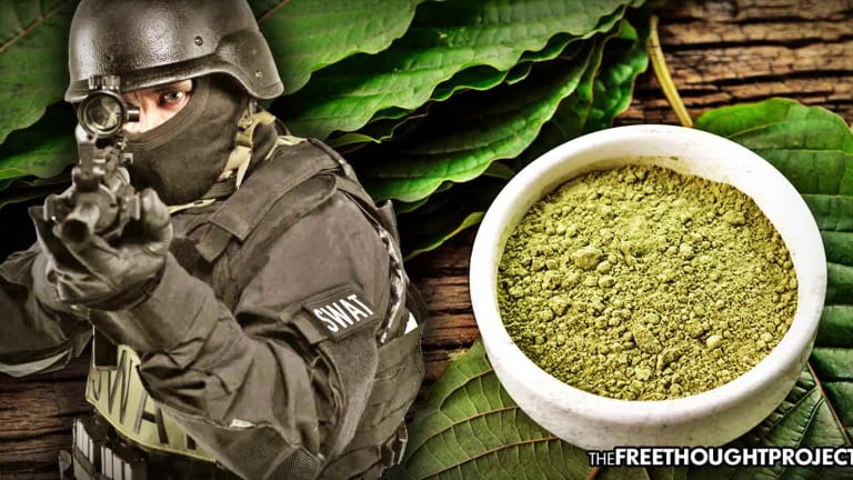 Cops Now Raiding Kratom Dealers as Gov't Pushes New Prohibition Police State In Support of Big Pharma