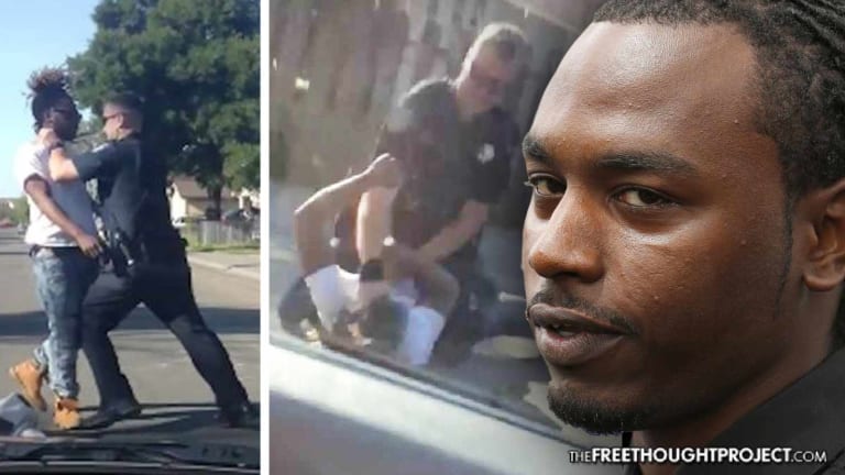 Taxpayers Pay $550K After Cop Savagely Beat Man on Video For Improperly Crossing the Road