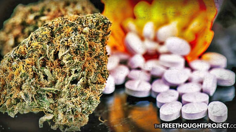 Precedent Set as Court Orders Gov't to Pay for Medical Pot Instead of Opioids for Worker's Comp