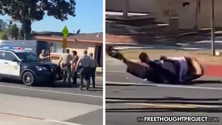 WATCH: Man Flags Down Police for Help with Crash so Cops Attack and Taser Him