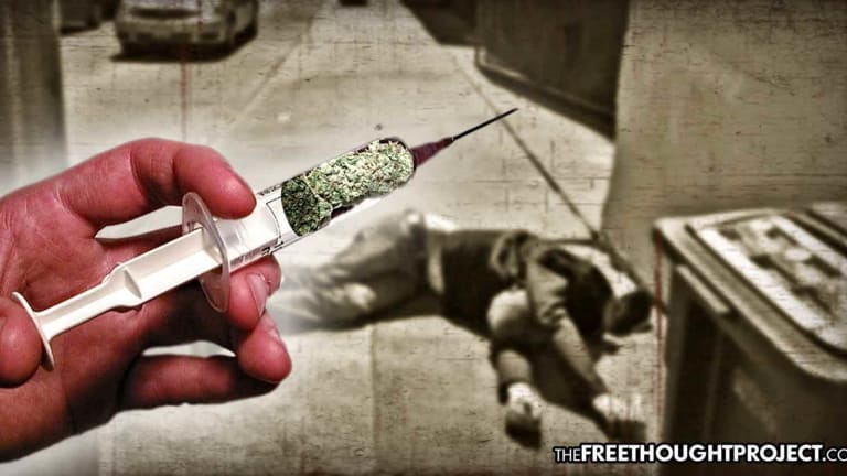 WATCH: FOX News Claims People are Laying on the Street 'Having Just Shot Up Marijuana'