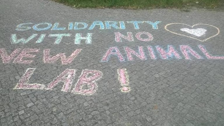 Activists Arrested for Writing “Save the Animals” On Public Sidewalk with Chalk
