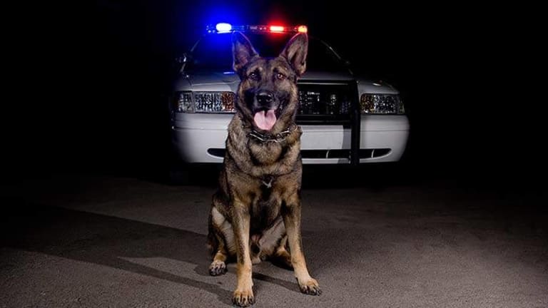 Supreme Court: Cops Can't Violate 4th Amendment by Prolonging Traffic Stops to Wait for Drug Dogs