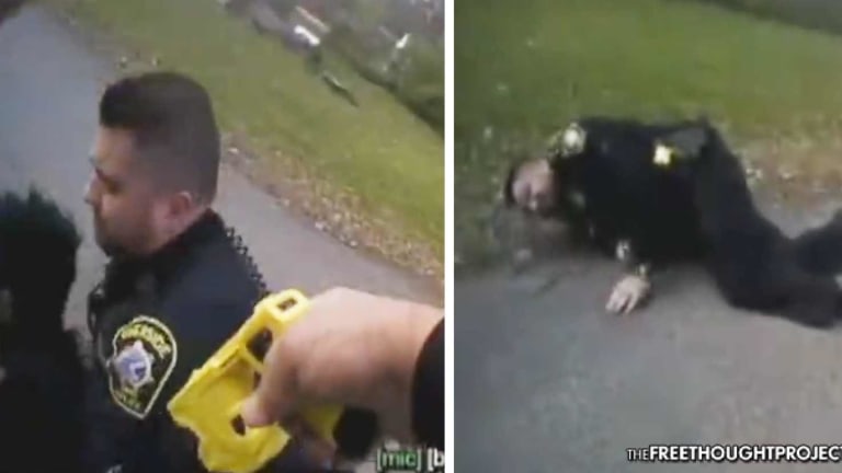 WATCH: Cop Tries To Taser Man for Refusing to Give ID, Tasers Fellow Cop Instead