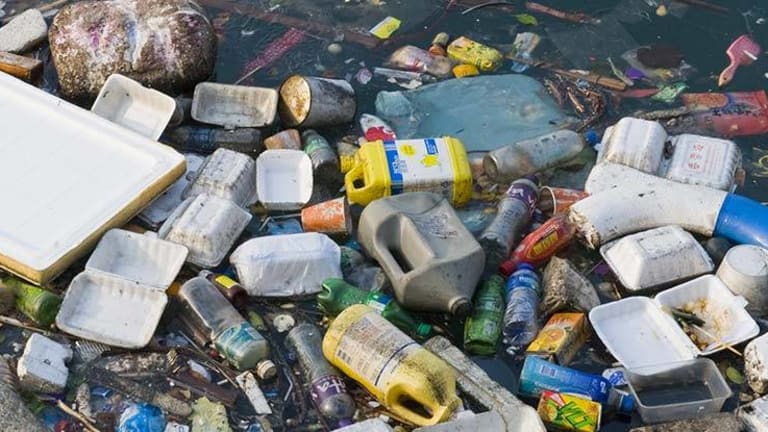 Scientists Predict More Plastic than Fish in the Oceans by 2050 -- Here's What We Can do to Stop it