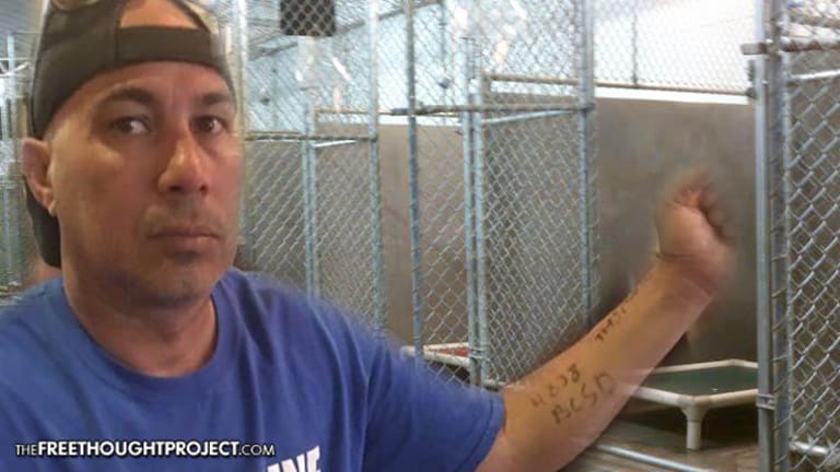 Like a 'Concentration Camp' Police Mark DAPL Protesters with Numbers & Lock Them in Dog Kennels