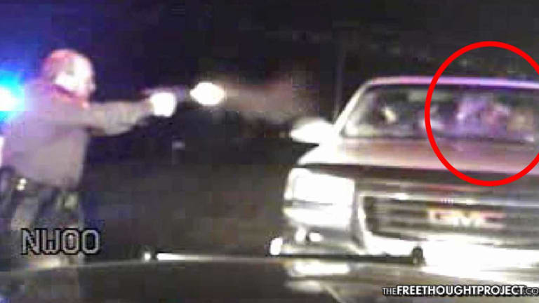 Court Rules Cop Who Shot Unarmed Woman in the Face on Video—Did NOT Violate Her Rights