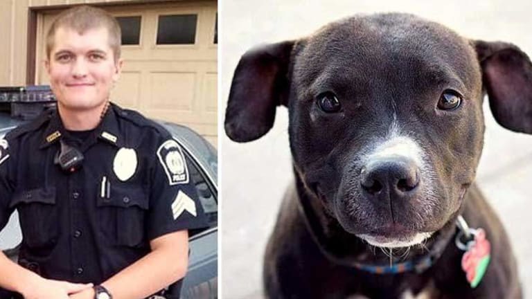 Police Chief Resigns After Caging Family's Puppy and Killing it at Shooting Range
