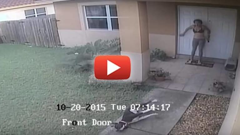 VIDEO: Cowardly Cop Knocks on Innocent Family's Door, Kills their Dog and then Walks Off