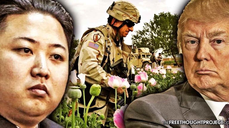 North Korea Is a Large Opium Producer Just Like Afghanistan -- But That's None of Your Business