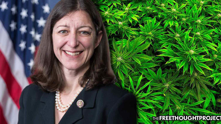WATCH: Congresswoman Says She'll Break the Law if Her Daughter Needs Medical Cannabis
