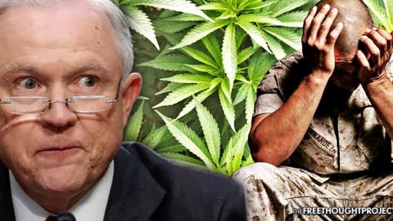 Hypocrisy: Trump Signs Veterans' Mental Health Bill as Jeff Sessions Declares War on Their Medicine