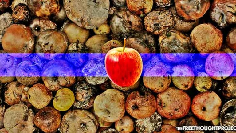 One Bad Apple? Half of An Entire Police Dept Suspended—Including the Chief