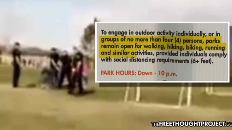WATCH: Cops Violate Social Distancing to Arrest Innocent Dad for Playing in a Park with 6yo Daughter