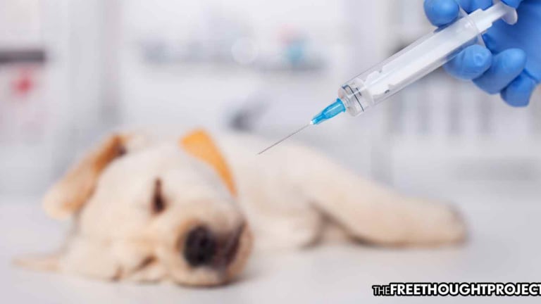 Govt Eerily Calls for Vaccinating Pets "Once the Human Population has Been Dealt With"