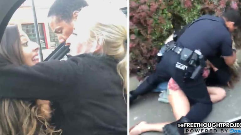 WATCH: Law Student Defends Herself from 'Unlawful Arrest,' Fights Back as Cops Attack Her