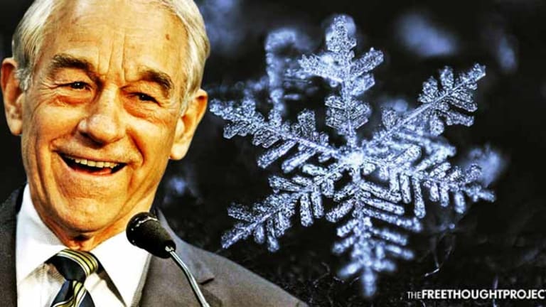 Ron Paul: We Are "Seeing the Emergence of 'Snowflakes' on the Right "