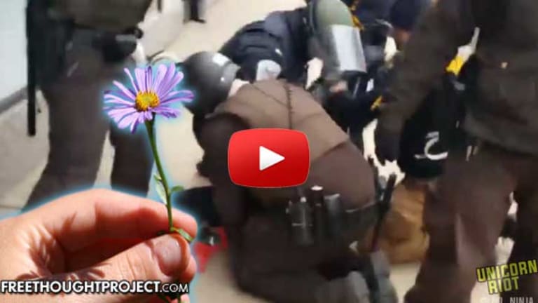 VIDEO: Veteran Severely Beaten by Multiple Riot Cops at DAPL After Offering Police a Flower
