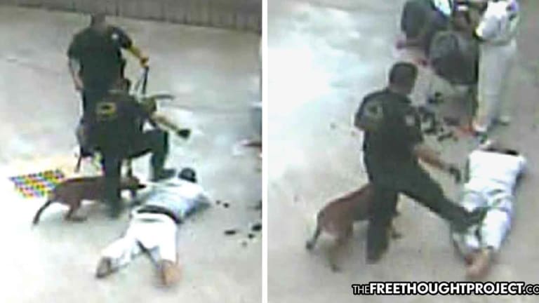 Video of Cop Torturing Man With K9 so Disturbing, He Was Just Sentenced to 30 Months in Prison