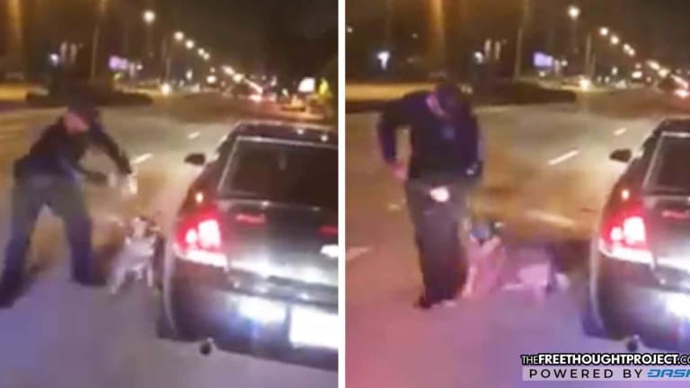 WATCH: Cop Snaps, Abuses His Own K9 After He Failed to Find Drugs During Stop