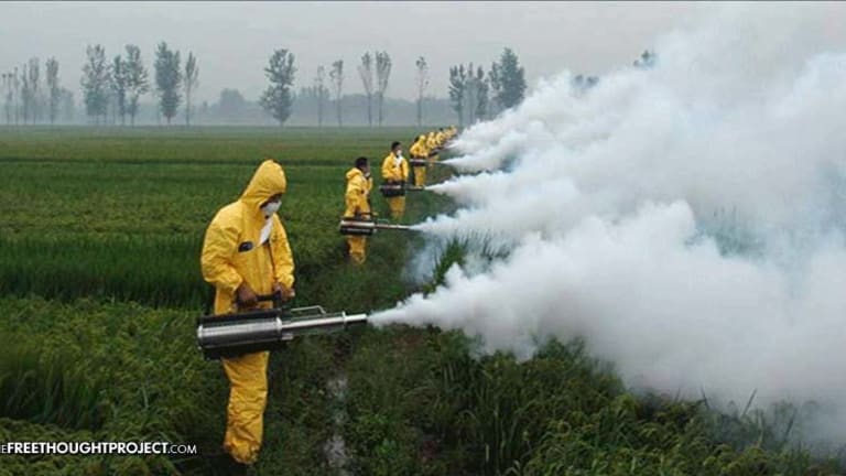 Monsanto Triggers Massive Crop Losses, Illegal Herbicide Spraying to Introduce New GMO Crop
