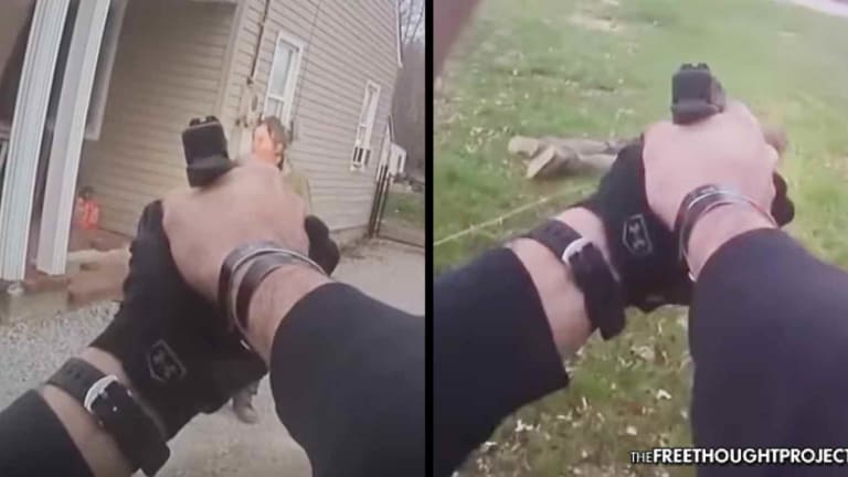 WATCH: Police Publicly Execute Mentally Ill Man 'Armed' With a Screwdriver
