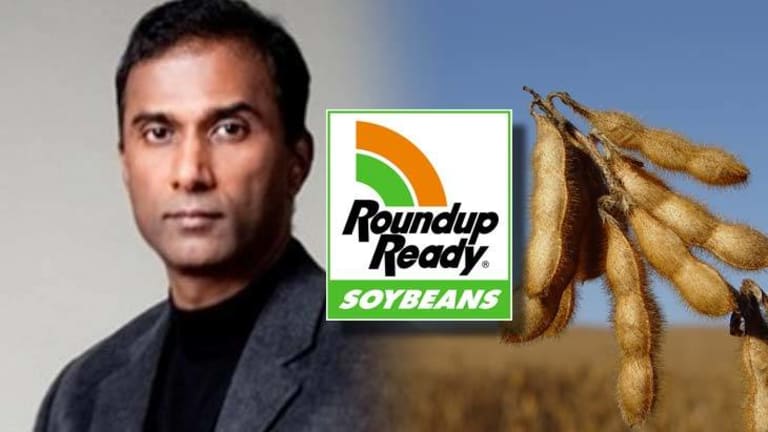 Scientist Offers Monsanto $10M to Prove Him Wrong on Ominous Findings in GMO Soy