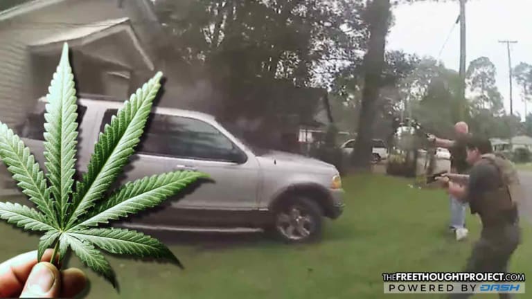 Video Shows Horrors of Drug War as Cops Corner Unarmed Man for Having a Plant, Execute Him