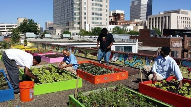 Homeless Plant a Massive Organic Rooftop Garden, Then Use it to Feed an Entire Shelter