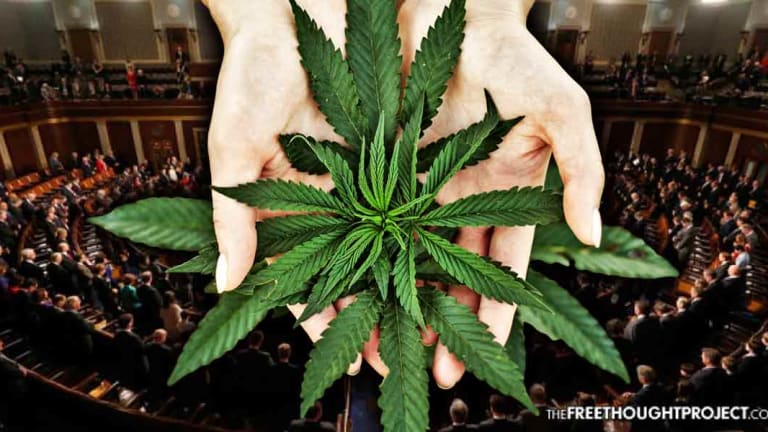 Republicans & Democrats Join Together in Senate to Legalize Pot on Federal Level