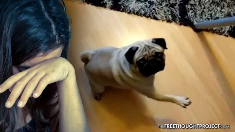 Gov't Lets Hundreds of Pedophiles Go Free as YouTuber Convicted for "Offensive" Joke Video
