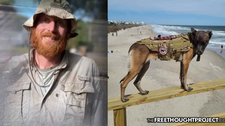 Veteran Attacked, His Service Dog Tasered After Angry Woman Wrongly Accused Him of Panhandling