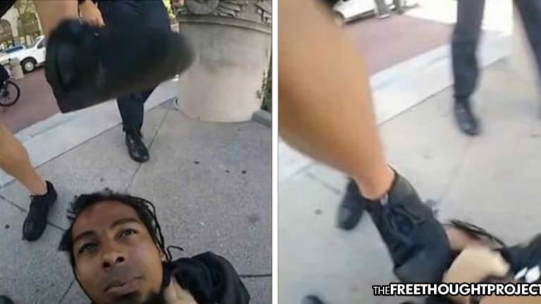 WATCH: For 'Talking' in a Park, Cops Handcuff, Body Slam, Stomp Innocent Man's Face In