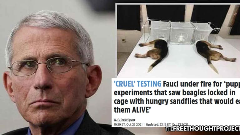 Fauci's Puppy Torture Scandal Has United the Left and Right & May Be the Final Nail in His Coffin