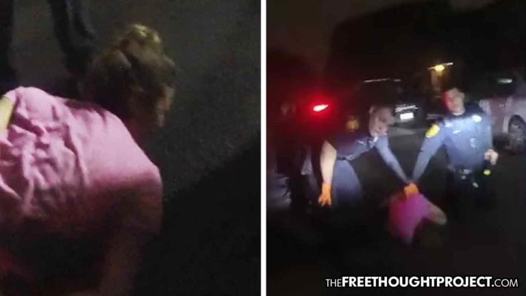 Cop Fired for Savagely Beating Handcuffed Pregnant Woman on Video, Hired at New Dept.