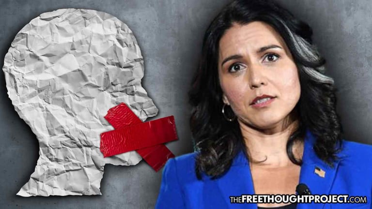 Tulsi Gabbard Calls Out Her Own Party's 'Dark' Tactics of Calling Everyone Who Disagrees a 'Racist'