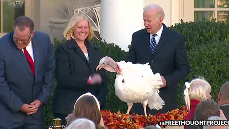 As Thousands Rot in a Cage for Weed on Thanksgiving, Biden Breaks Promise to Pardon Them, Pardons Turkeys Instead