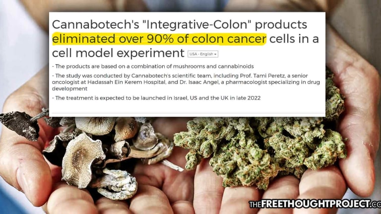 Researchers Discover Cannabis-Mushroom Combination that 'Kills Over 90% of Colon Cancer Cells'