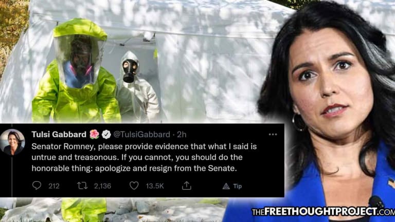 Tulsi Gabbard Hammers Mitt Romney for Calling Her a 'Treasonous Liar' for Facts on US-Funded Biolabs in Ukraine