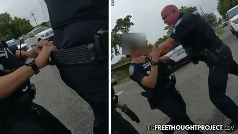 WATCH: Raging Cop Strangles Female Officer After She Stopped Him from Attacking Handcuffed Man