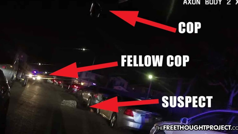 WATCH: While Shooting Wounded Man on the Ground, Trigger Happy Cops Shoot One of Their Own